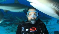 The SNARKY Shark! - By Thomas Edwards
