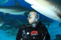 The SNARKY Shark! - By Thomas Edwards